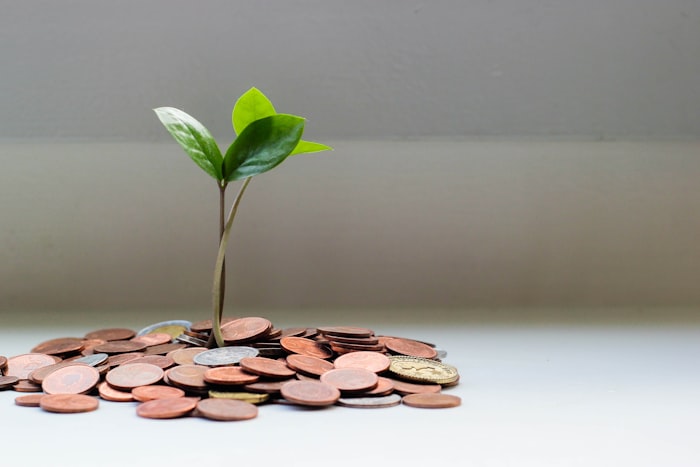 Financial Advisory
